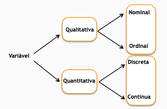 Esquema dos tipos de variáveis